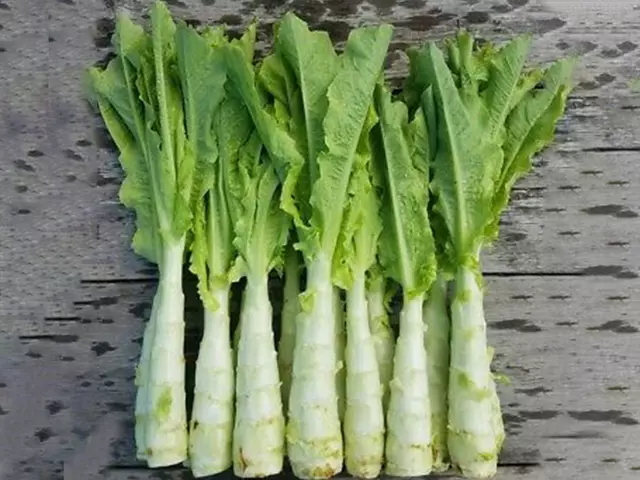 vegetable