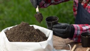 Soil Nutrient Powder