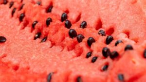 Watermelon Seeds