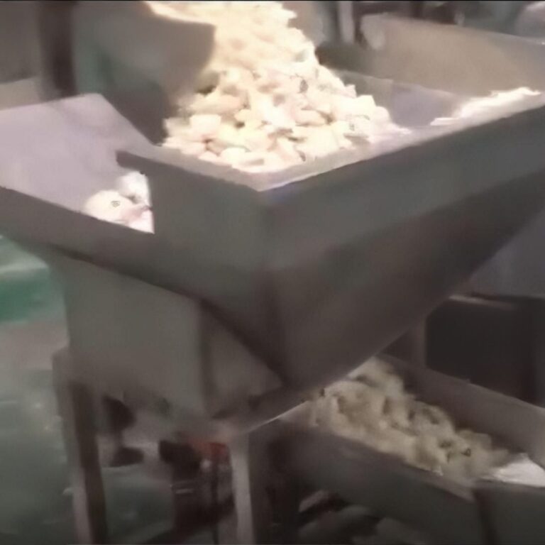 dumpling packaging machine