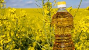 Canola Oil